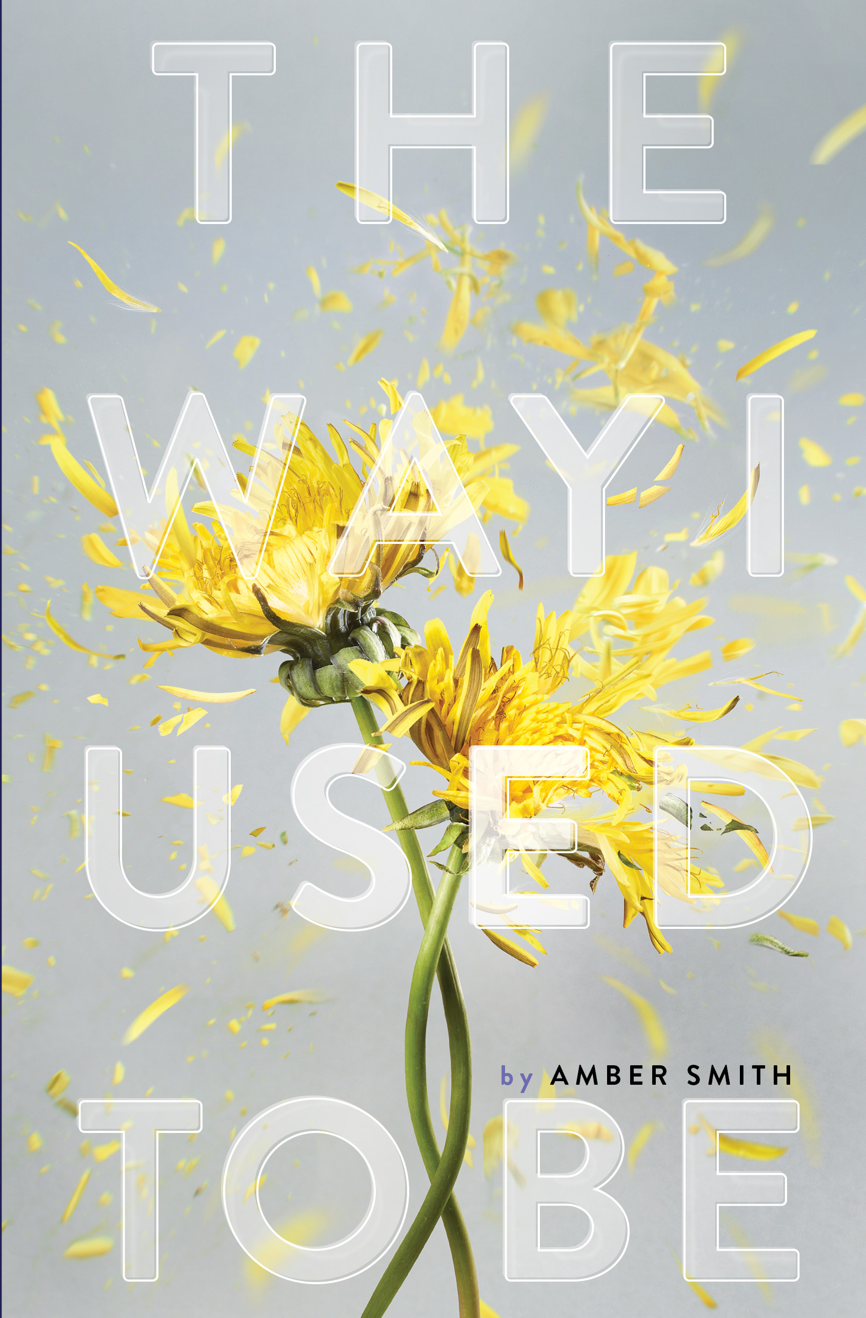 The way i used to be amber smith author